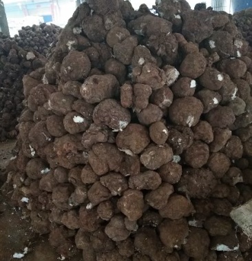 [茯苓批发]云南茯苓 正宗纯白丁价格20.00元/斤 - 一亩田