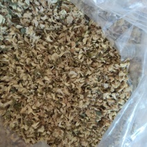 脱水槐花生槐花，熟槐花