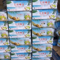 椰青2.5~3斤
