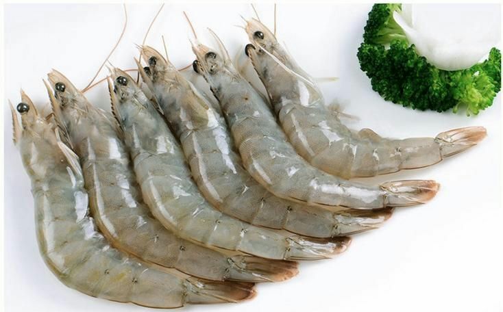 食材处理过程图