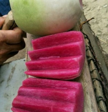 [萝卜批发]满堂红,心里美 1~1.5斤起价格0.35元/斤 - 一亩田