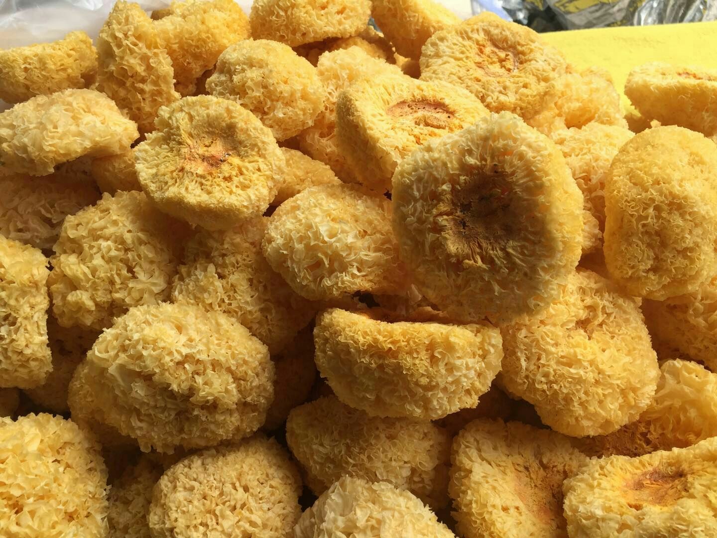 丑耳与银耳的对比图