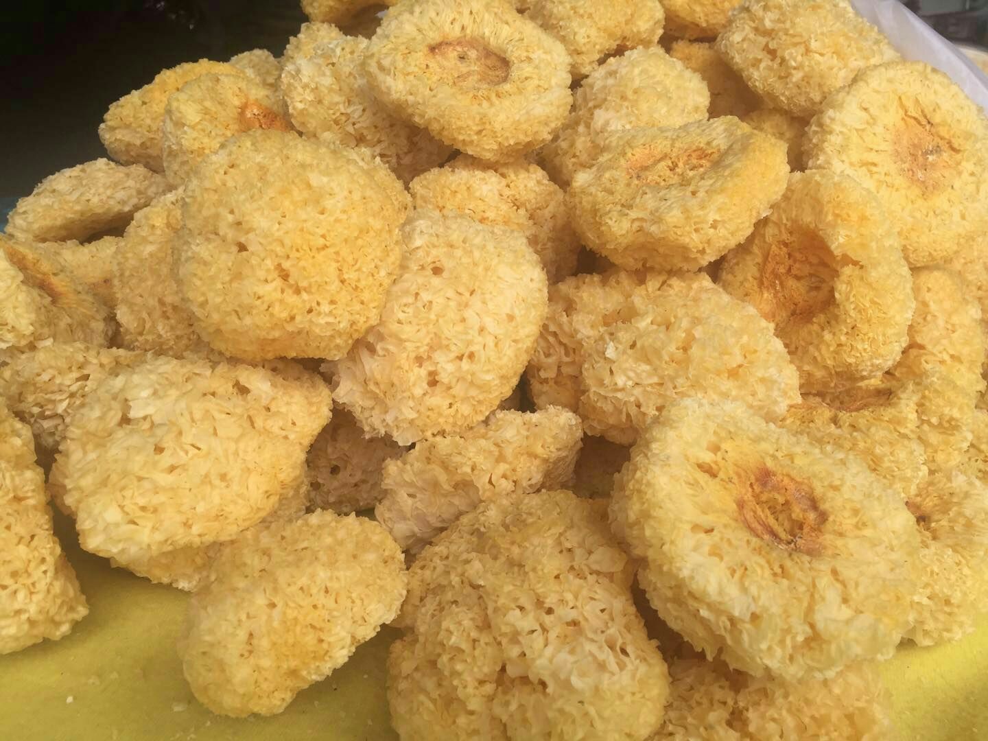 新鲜采摘的脆耳呈深褐色,耳片厚实,边缘卷曲,表面有明显脉络纹路,背面绒毛清晰可见,整体形态不规则,呈现出自然生长的褶皱结构 脆耳特写照片