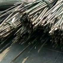 绿竹5~6m