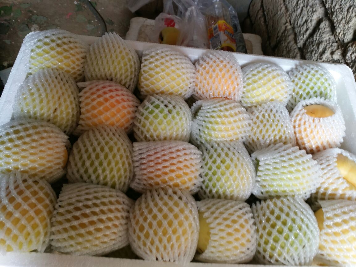 凯特杏与金太阳杏在包装箱中的商业展示