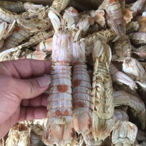 干虾皮皮虾干