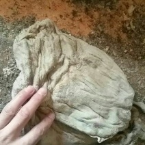 羊肚包装