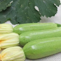 天然新鲜菜瓜厂家直销价格美丽