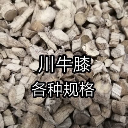 川牛膝川牛膝中药材正品野生川牛膝川牛夕川牛漆无硫特级川牛膝片昌玉