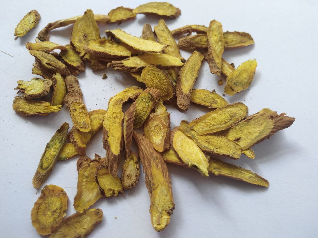 洒黄芩的外观与产地展示