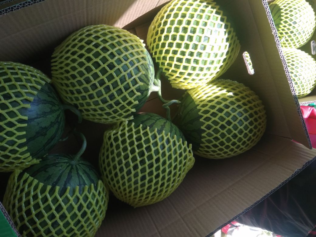 红瓤特小凤西瓜礼盒装展示图