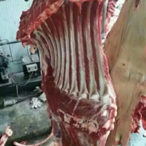 驴排骨驴头鲜驴肉带皮驴肉