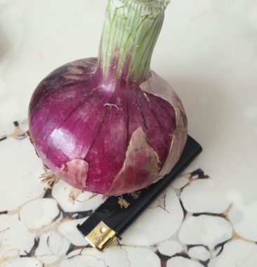 [洋葱批发]河西二红扁洋葱价格0.40元/斤 - 一亩田