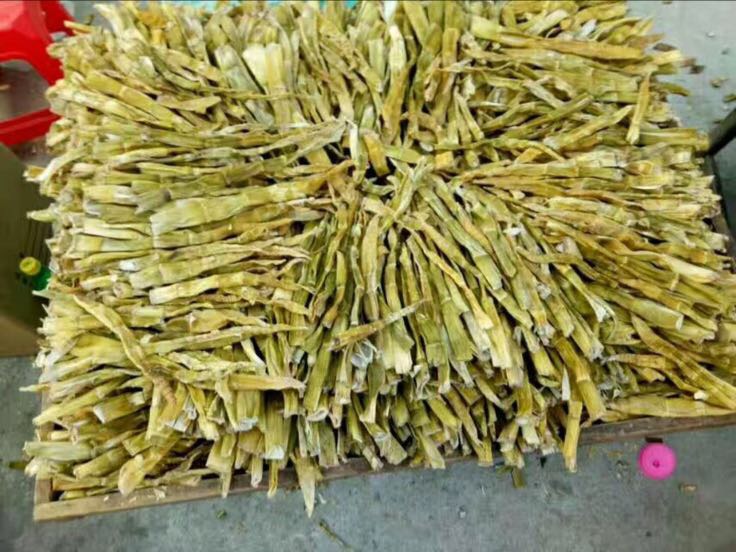 竹笋叶被制成堆肥并与新鲜雷竹笋并列展示