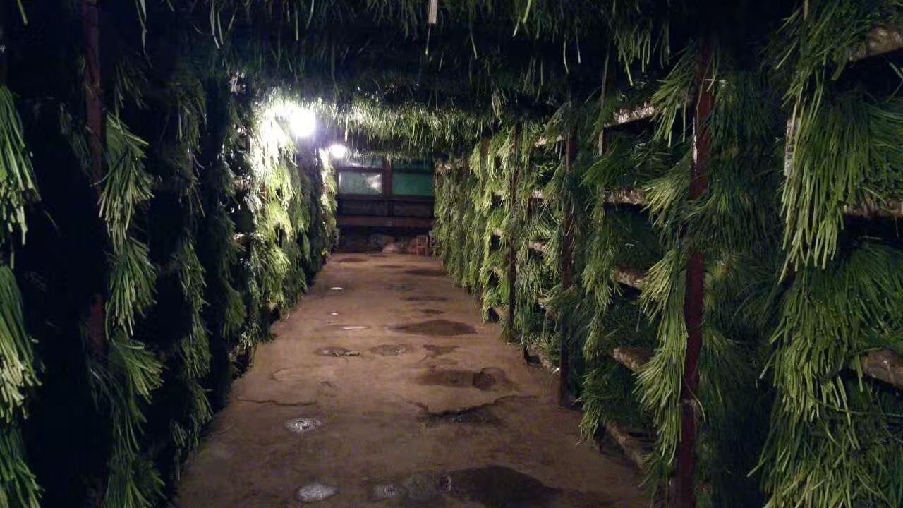 金乡蒜通天下仓储有限公司冷库作业现场,展示现代化仓储管理流程 金乡蒜通天下仓储有限公司冷库作业现场