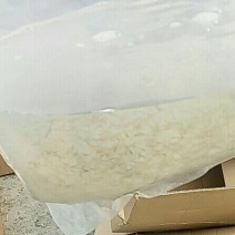 青鱼乌子