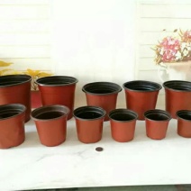 盆栽花卉双色花盆育苗盆营养钵塑料花盆