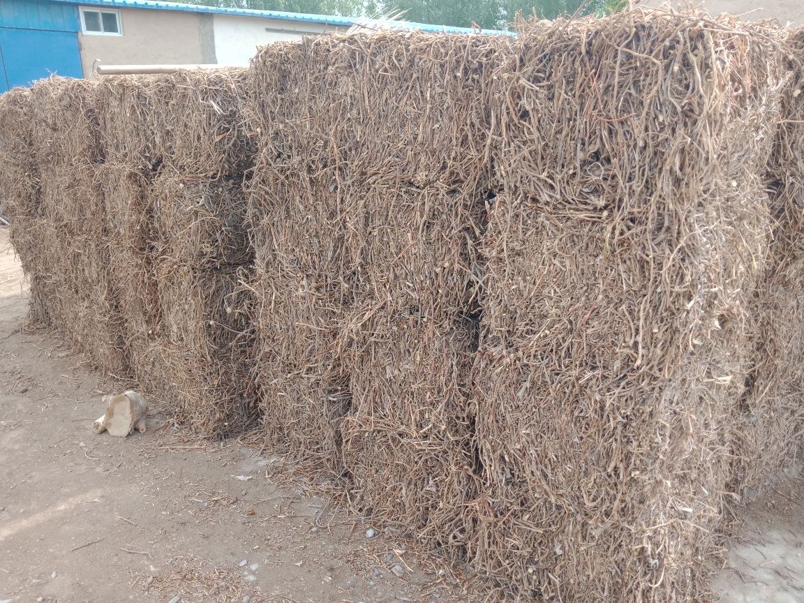 黄芩、桑白皮、地骨皮和甘草四种药材的拼图,展示方剂组成 黄芩泻白散药材组合图