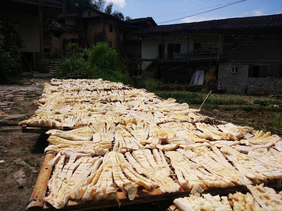 临安雷笋干传统晾晒场景