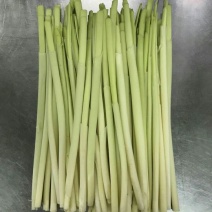 微山湖、蒲菜