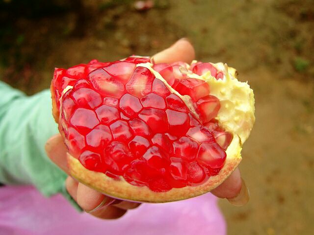 会理软籽石榴特写,展示晶莹剔透的果粒和粉红色果皮 会理软籽石榴特写