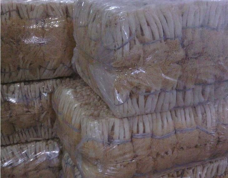 竹荪的保存方式示意图