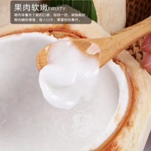 海南椰青