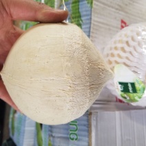 泰国椰皇，品质之选