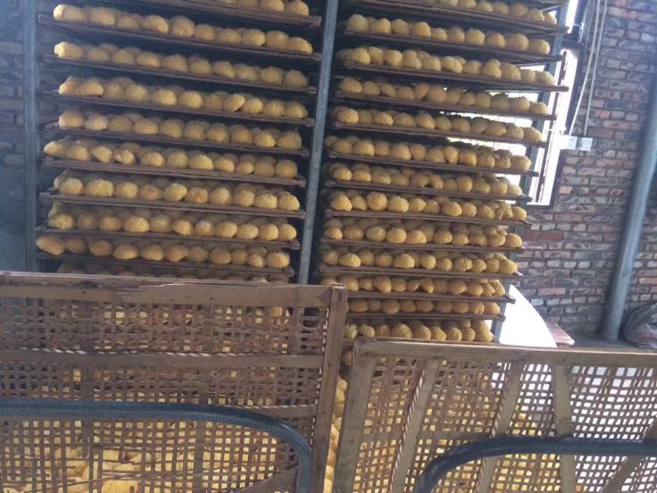 云南农户手工晾晒丑耳场景