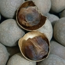 桂圆干每斤