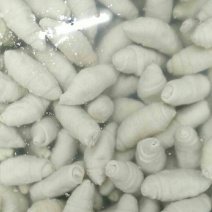 纯手工大面筋90克，一袋250个