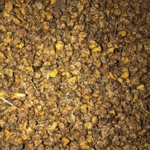 有少量野菊花干品供应!