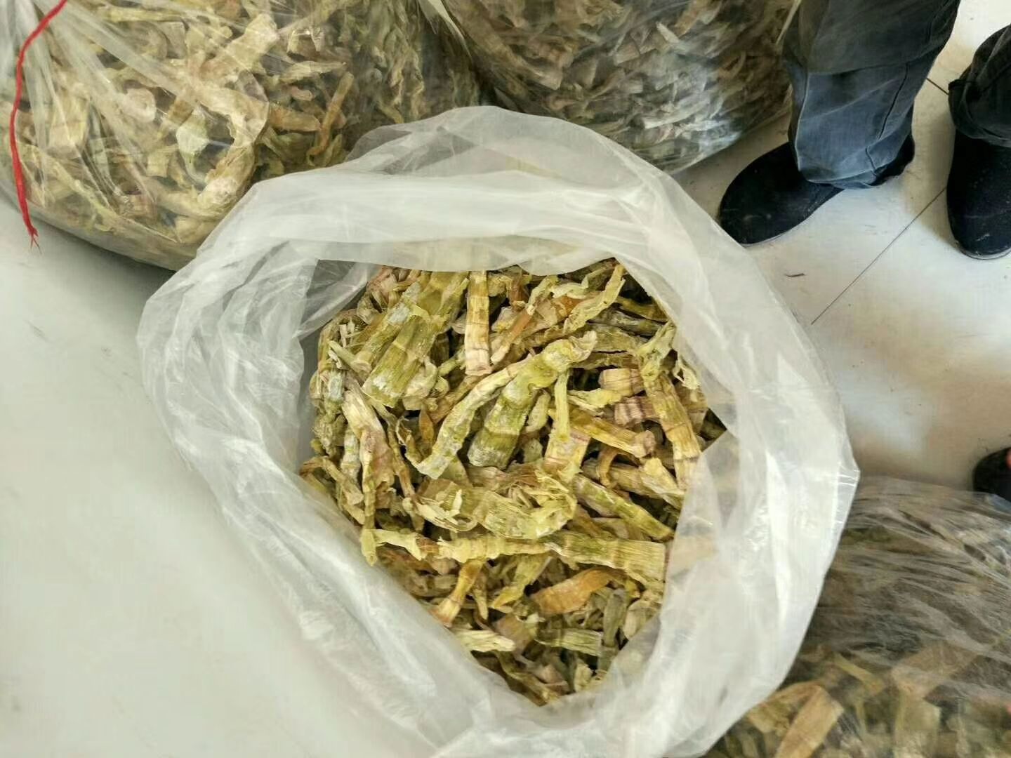 信息图表式插画:横向三分区展示三种食材储存方式——左区‘山竹’:图标为紫壳山竹+温度计(7–10℃)+水滴图标(高湿)+禁止冰冻符号;中区‘荔枝’:图标为红壳荔枝+雪花图标(-35℃速冻)+柠檬片+真空袋;右区‘山芹’:图标为翠绿芹菜+水杯(浅水养根)+透气膜图标;底部统一标注‘避乙烯源’‘勿叠压’‘48h内食用最佳’ 山竹荔枝山芹分类储存示意图