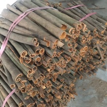 广西桂皮肉桂玉桂大桂通中通广西发货