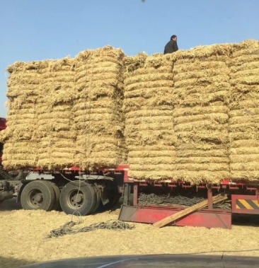 新干稻草压缩草块儿欢迎各地老板选购