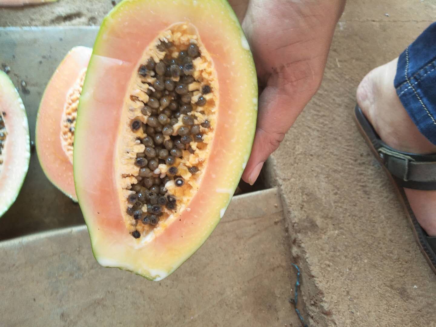 新鲜成熟红肉木瓜横切面高清特写:左侧为饱满多汁的橙红色果肉,右侧为果腔内密集分布的椭圆形黑色木瓜籽,籽粒表面油亮有光泽,排列紧密呈放射状,背景为浅色砧板,自然光拍摄 木瓜切开特写,展示橙红色果肉与中央整齐排列的黑色木瓜籽群