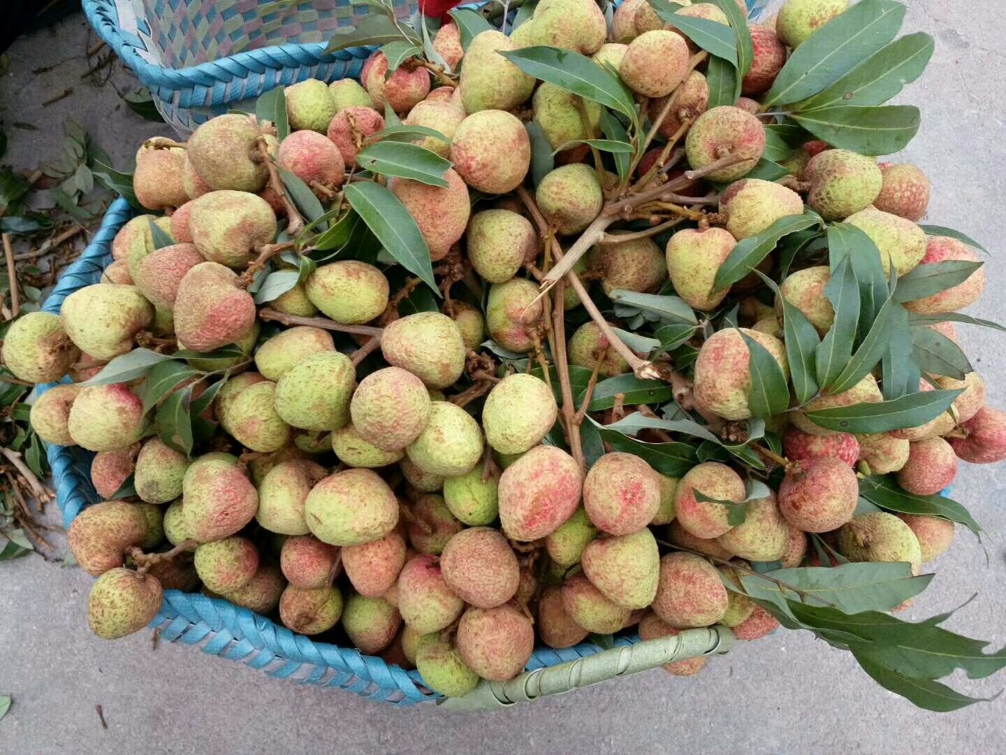 三月红荔枝礼盒包装展示