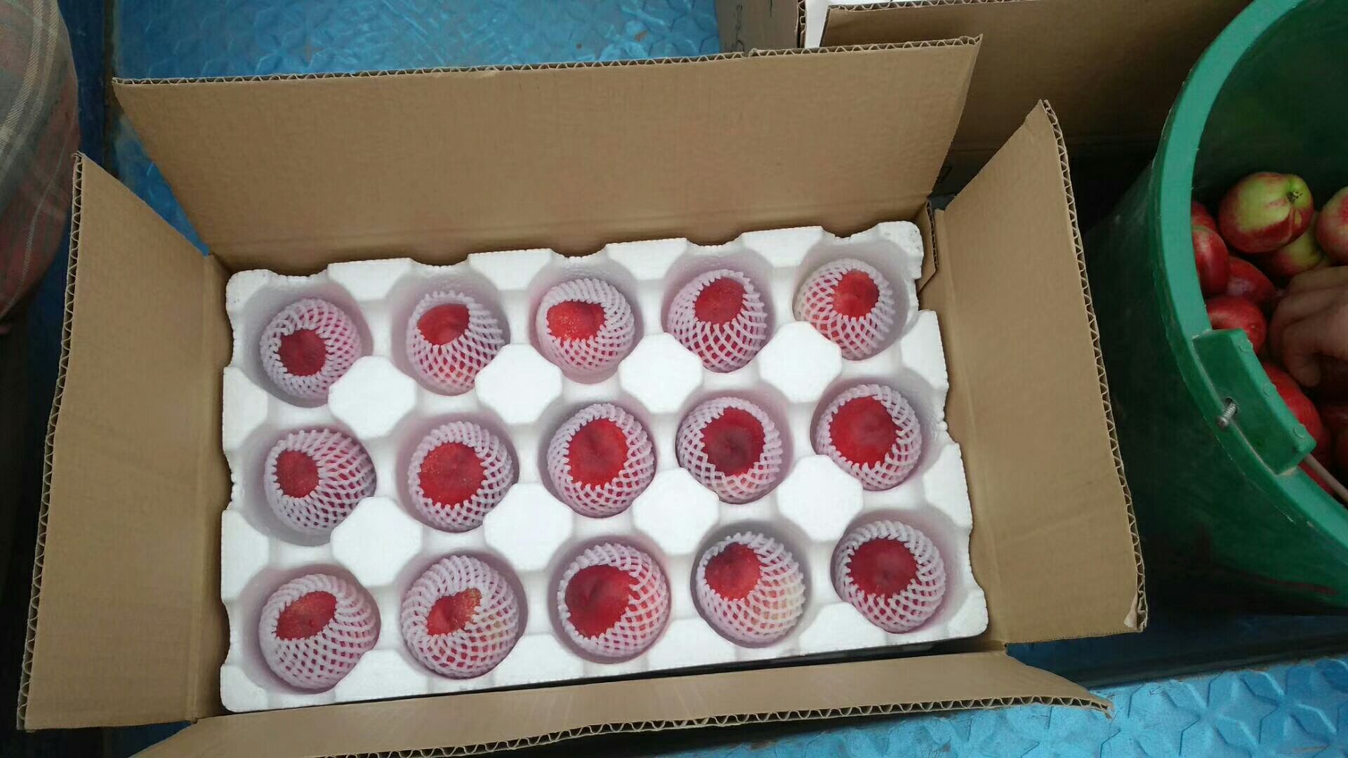 一组518油桃果的电商包装展示,包括透明塑料盒装精品果、红色礼盒装礼品果、泡沫网套单果包装,背景为快递打包台,体现现代化农产品电商运营场景 518油桃电商包装与礼盒展示