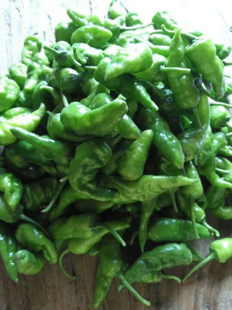 余干特产鲜辣可口的丰收辣椒
