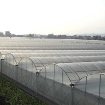 无支柱大棚骨架