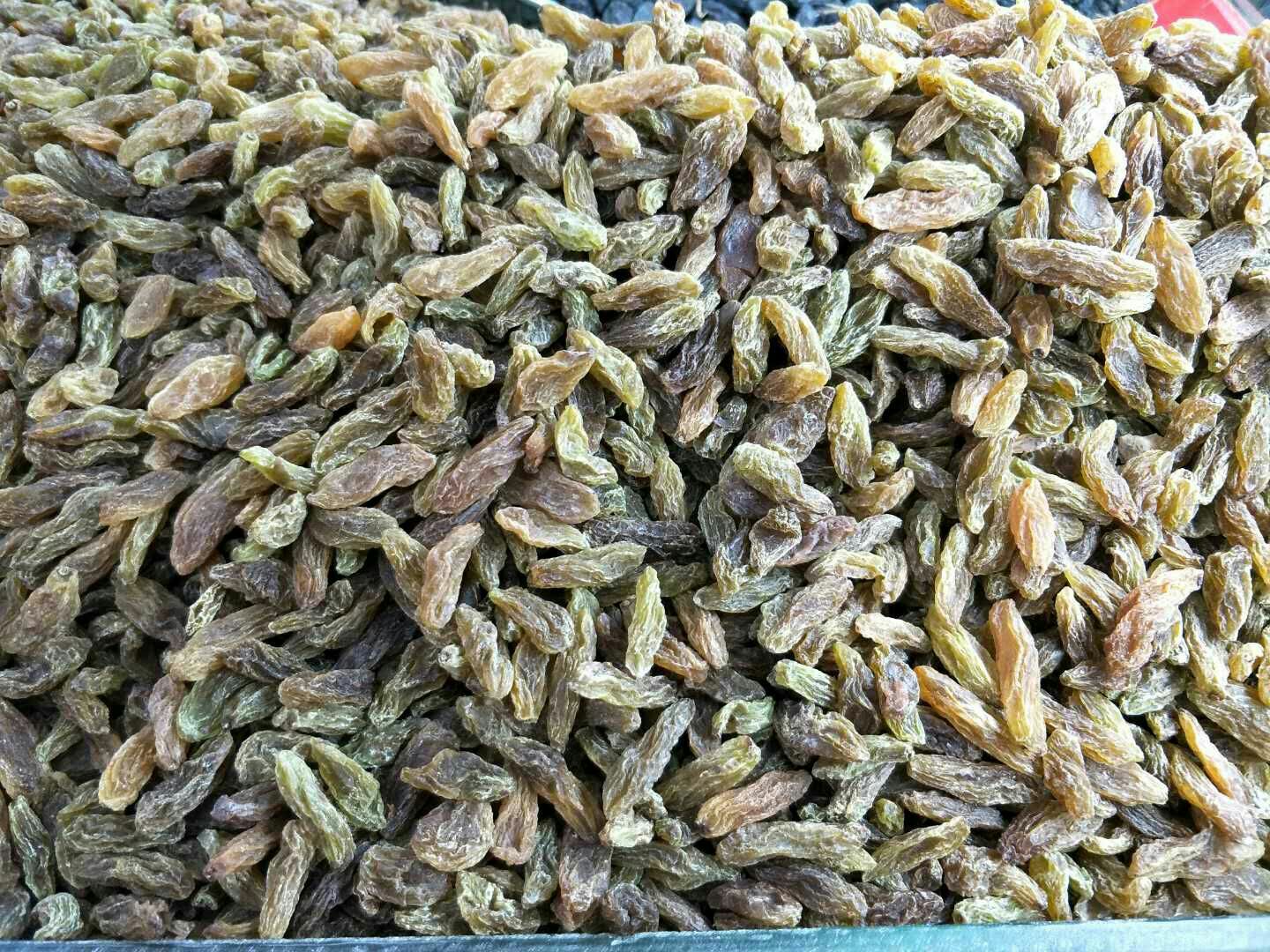 葡萄籽油香草饼干特写:突出自制葡萄干的天然紫黑色泽、饼干酥脆纹理、迷迭香分布及低温烘干工艺标识 克伦生葡萄干香草饼干成品图:深褐色酥饼表面嵌着紫黑色葡萄干颗粒,边缘微翘,散落迷迭香碎,背景为葡萄籽油瓶与温度计显示60℃