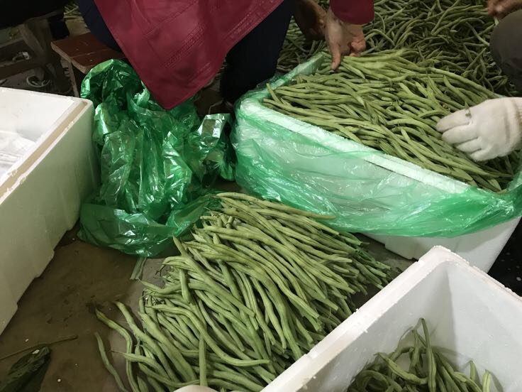 大豆棉制品陈列图