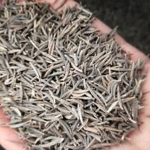 波斯菊种子格桑花种子，四季花卉播种10斤/亩