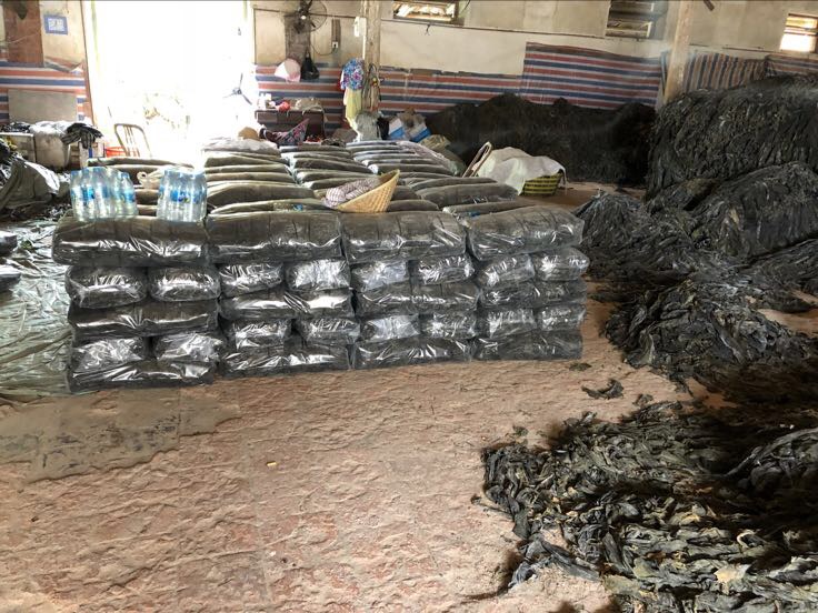 海带加工生产线示意图