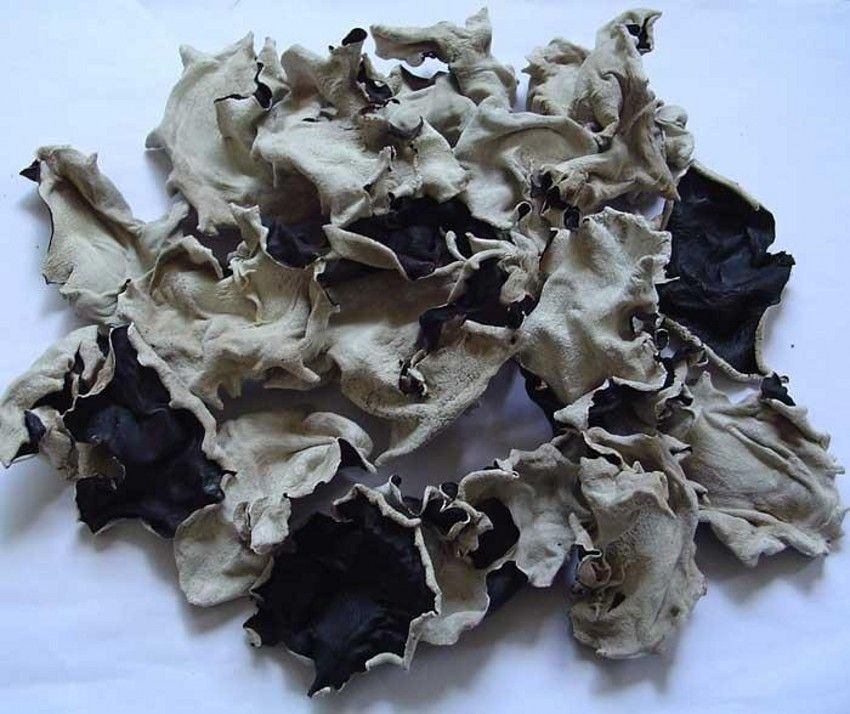 北背毛木耳干品与泡发对比图