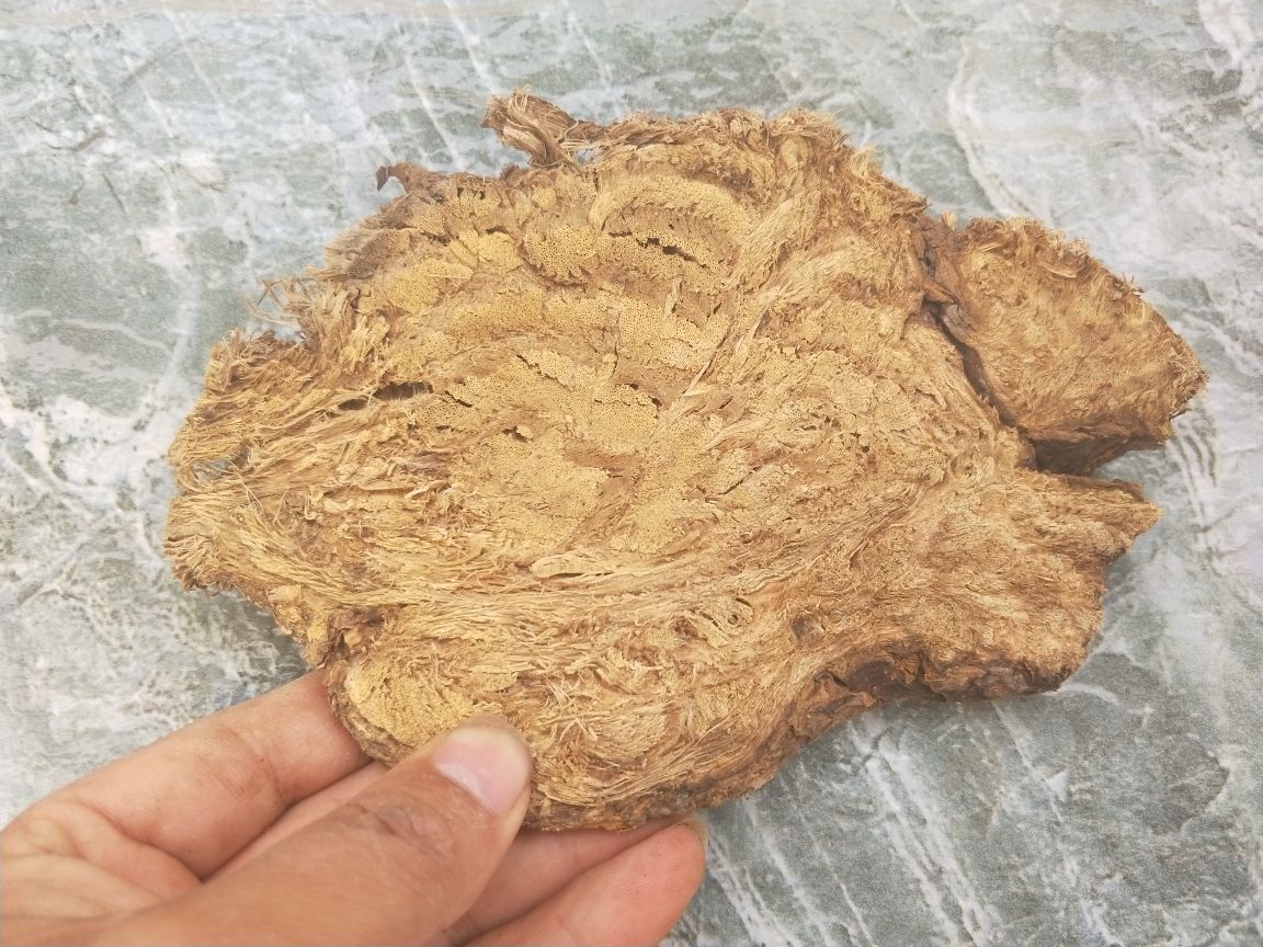 丹参与葛根药材特写
