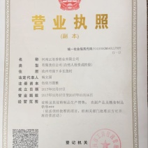 包邮，诚信保障三证齐全河南厂家直销粉条中粉