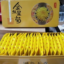 金丝皇菊