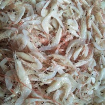 野生大虾皮