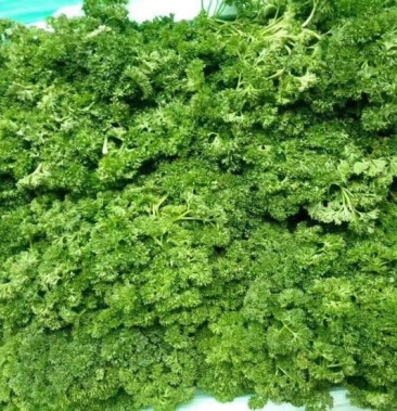 50元/斤 - 一亩田